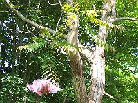 18-06-05kodak_244