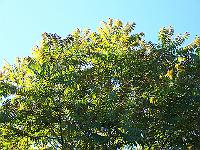 18-06-05kodak_359