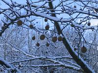 240105canon_042