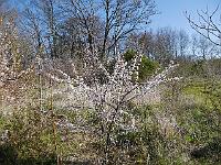 2016-04-23-08-21-30