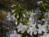 2015-03-11-14-51-03