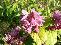 2011-06-14_17-57-19_0079 2011-06-14_17-57-19_0079