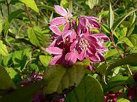 2011-06-14_17-57-41_0082 2011-06-14_17-57-41_0082