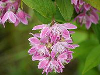 2012-07-02_17-04-12_0150 2012-07-02_17-04-12_0150