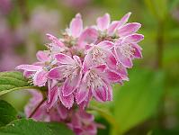 2012-07-02_17-04-43_0160 2012-07-02_17-04-43_0160