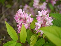 2012-07-02_17-05-39_0181 2012-07-02_17-05-39_0181