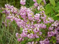 2012-07-02_17-06-11_0190 2012-07-02_17-06-11_0190