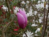 2015-04-26-08-43-16