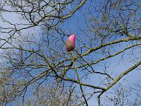 2015-04-18-07-25-26