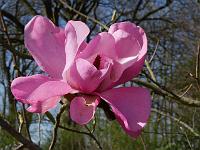 2015-04-21-09-22-37