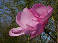 2015-04-22-07-58-32