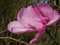 2015-04-22-07-58-46