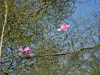 2015-04-22-08-40-54