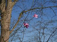 2015-04-22-08-41-55