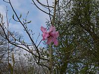 2015-04-24-08-04-53