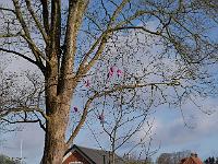 2016-04-21-08-05-57