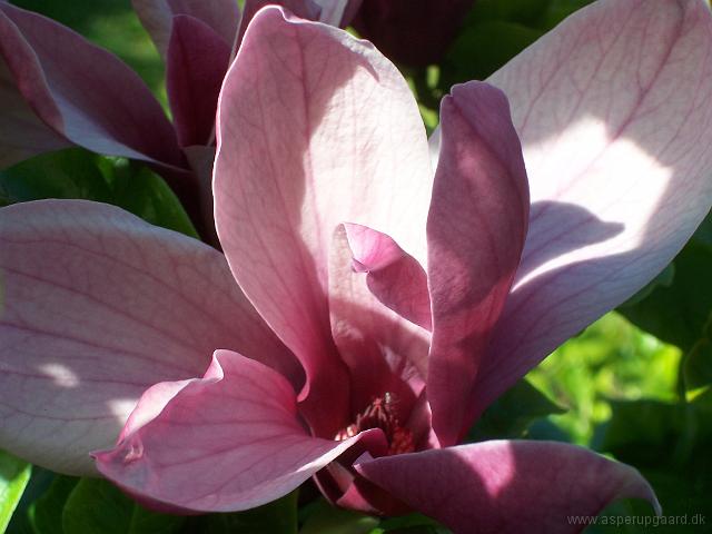 29-05-05kodak_137