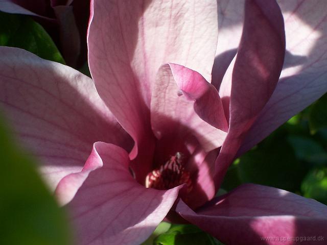 29-05-05kodak_138