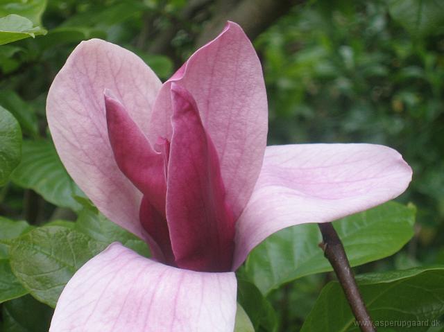 31-05-05canon_084