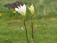 2015-05-05-13-06-30