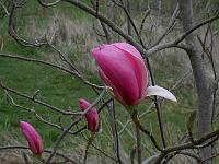 2016-04-12-16-05-00