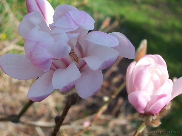 22-04-05kodak_051