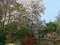 2009-04-29_09-39-38_0297