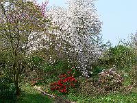 2009-04-29_09-40-23_0302
