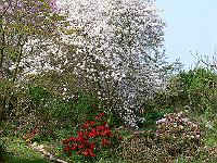 2009-04-29_09-40-38_0305