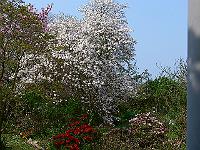 2009-04-29_09-40-50_0307