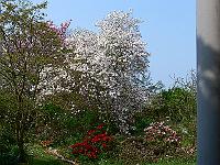 2009-04-29_09-41-04_0310