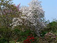 2009-04-29_09-41-18_0313