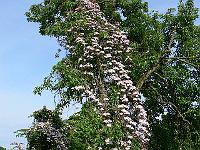 07-06-2006_18-00-14_26