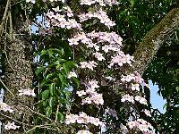 07-06-2006_18-00-25_29