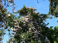 08-06-2006_18-03-09_20