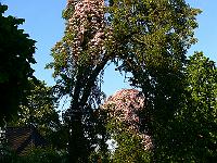 2009-05-22_19-33-20_0040