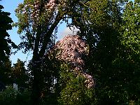 2009-05-22_19-33-45_0044