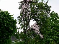 2009-05-24_10-23-49_0143