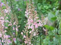 27-06-05kodak_343