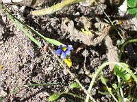 18-06-05kodak_370