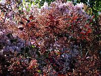 copy_of_140604_014