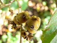 2011-10-21_11-13-50_0018