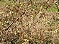 2016-04-14-09-25-56